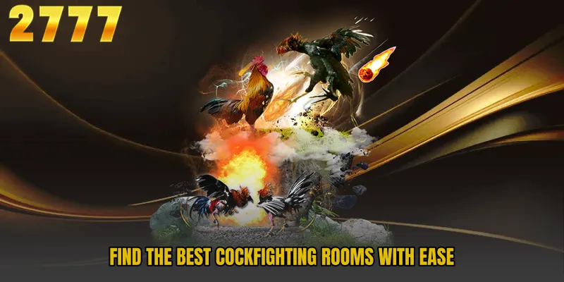 Find the best Cockfighting rooms with ease