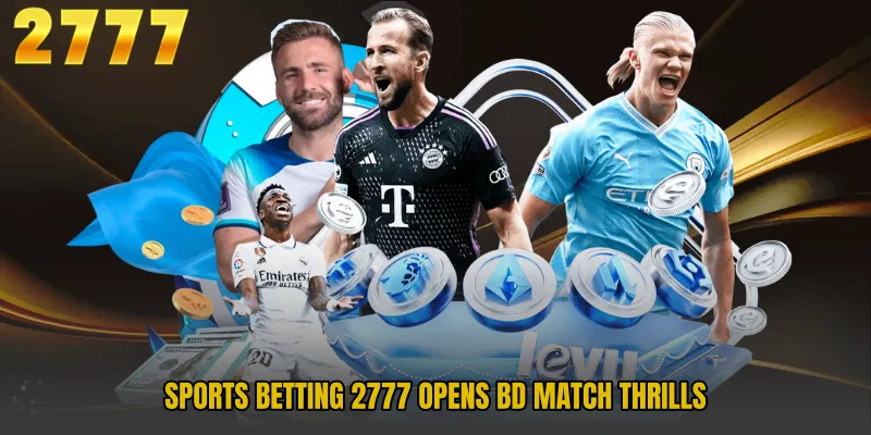 Sports Betting gives data based direction